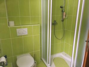 y baño de azulejos verdes con aseo y ducha. en Chalupa Continental, en Ostružná