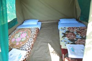 two beds in the inside of a tent at Engiri Game Lodge and Campsite in Katunguru