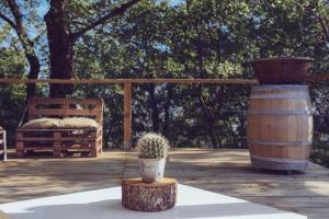 Fotografie z fotogalerie ubytování Roccafiore Wine Resort & Spa v destinaci Todi