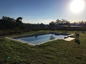 a swimming pool in the middle of a grass field at Stellar Overberg Travellers Lodge in Napier