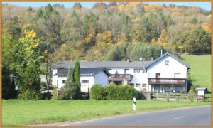 a large white house on the side of a road at Pension Haus Liesertal in Üdersdorf