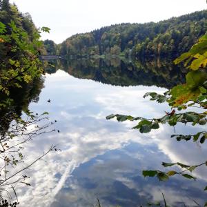 Przyroda w pobliżu tego apartamentu