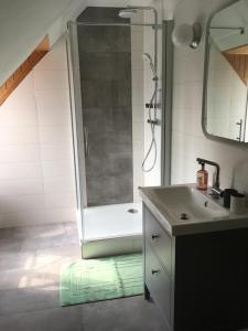 łazienka z prysznicem i umywalką w obiekcie Apartment ANKA w mieście Bad Ischl +26 zdjęć