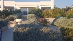 Zahrada ubytování I Mirti - Home Holiday