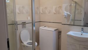 La salle de bains est pourvue de toilettes et d'un lavabo. dans l'établissement Tibiscum Apartament, Bucuresti, à Bucarest