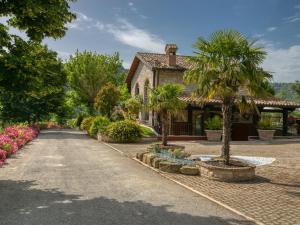 a house with a palm tree in a driveway at Holiday home in Cagli with swimming pool and fenced garden in Acqualagna