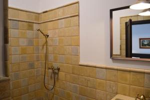 a bathroom with a shower with a mirror at Somhegyi Öreg Hársfák Major Vendégház in Bakonybél