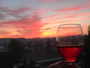 SeewaldにあるFerienhaus Waldblickの夕日を背景にワイン1杯