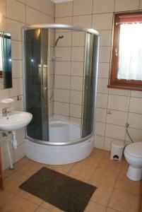 a bathroom with a shower and a toilet and a sink at Agrodomki Okej - Dom Oleńka in Gardna Wielka