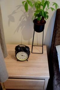 Fotografie z fotogalerie ubytování Guest house in Dobele city center- Pilsētas Māja v destinaci Dobele