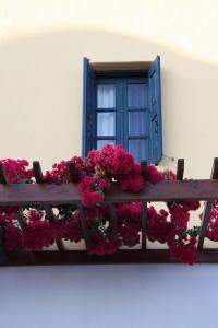 a window with pink flowers on a window sill at Kalimera Hotel in Akrotiri