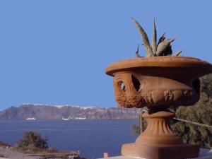 a large pot with a plant in it next to the water at Kalimera Hotel in Akrotiri