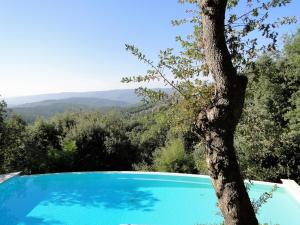 una piscina azul con un árbol en el primer plano en Exclusive Tuscany Villa, en Civitella in Val di Chiana