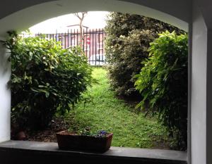 Vonkajšia záhrada v ubytovaní Appartamento Blu a Milano zona Ripamonti vicino allo IEO