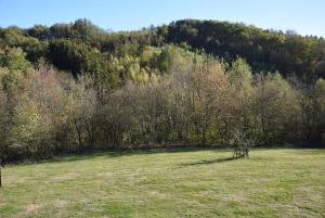Paesaggio naturale nelle vicinanze della casa vacanze