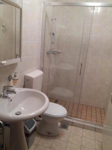 a bathroom with a shower and a toilet and a sink at Apartment Milan in Trenta