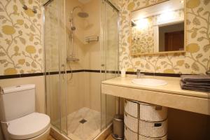 a bathroom with a shower and a toilet and a sink at Casas FreshApartments in Málaga