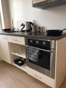 Kuchyň nebo kuchyňský kout v ubytování Guest house in Dobele city center- Pilsētas Māja