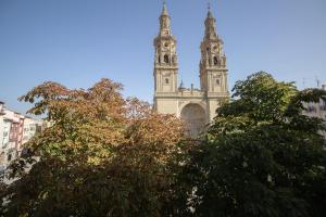 ログローニョにあるApartamento La Redonda Catedral y aire acondicionadoの手前に木々が植えられた二つの塔のある建物
