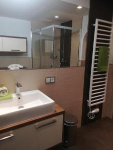 a bathroom with a sink and a glass shower at Apartment Eva in Sonnberg +20 photos