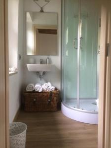 een badkamer met een glazen douche en een wastafel bij Il Gelsomino in Iseo