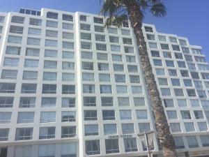 a tall white building with a palm tree in front of it at Pebble Moon Holiday Flat in Strand