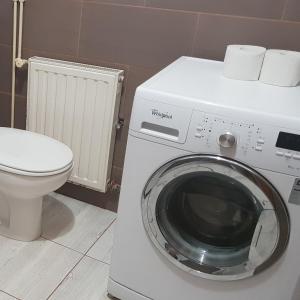 a washing machine in a bathroom with a toilet at Pool Apartment Knezevic in Novalja