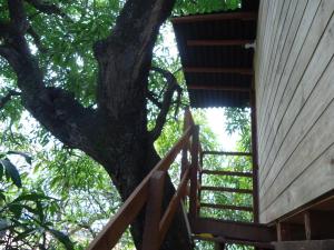 Φωτογραφία από το άλμπουμ του Casa na Árvore σε Σαλβαδόρ