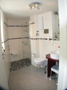 a bathroom with a shower and a toilet and a sink at FeWo de Lark in Dorum Neufeld