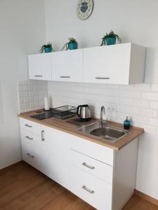 Kuchyňa alebo kuchynka v ubytovaní Apartament Nad Starą Odrą