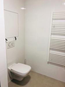 Koupelna v ubytování Útulný apartmán na Dolní Moravě