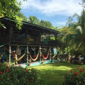 Um jardim no exterior de Luminosa Montezuma Hostel
