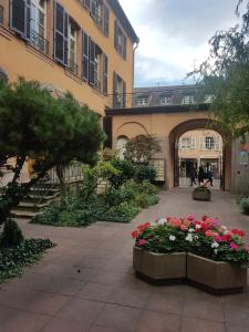 a courtyard in a building with flowers in a pot at Appartement avec garage Colmar Centre Historique in Colmar