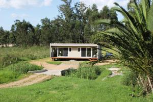 una casa en una playa con una palmera en Rincon del Diario, en Punta del Este