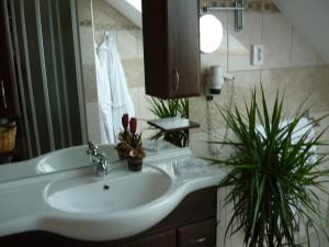 Kúpeľňa v ubytovaní Öreg Malom Hotel