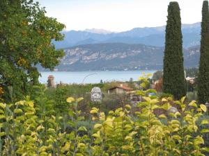 ein Garten mit Blick auf ein Gewässer in der Unterkunft Sole di Lazise in Lazise