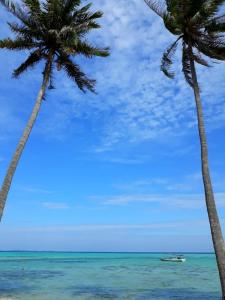 Gallery image of Ary's Lagoon Bungalow & Hotel in Karimunjawa