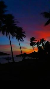 Gallery image of Ary's Lagoon Bungalow & Hotel in Karimunjawa