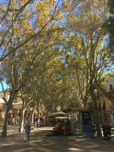 Fotografia z galérie ubytovania Cream homes La Rambla, TURISMO DE INTERIOR v Palme del Mallorca