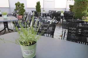 a potted plant sitting on a table with chairs at Hotel Weisser Schwan in Erfurt