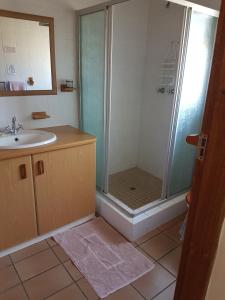 W łazience znajduje się prysznic i umywalka. w obiekcie Fig Tree Manor Self Catering w mieście Blythedale