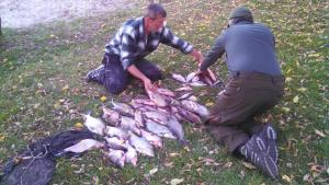 Deux hommes découpent des poissons sur l'herbe dans l'établissement Гостинний двір на хуторі Хрещатик, à Khreshchatik