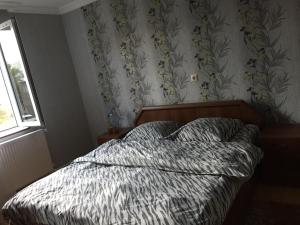 Voodi või voodid majutusasutuse House Mon Amie toas