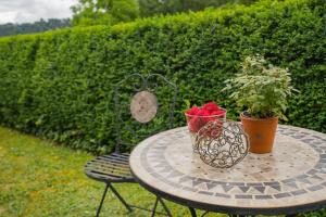 a table with two plants and a vase on it at Pension Himmelreich in Glatt