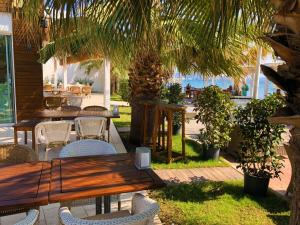 a patio with tables and chairs under a palm tree at Zest Exclusive Hotel & Spa in Ortakent