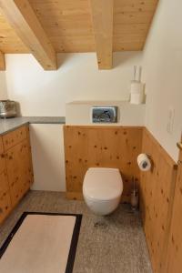 a bathroom with a toilet in a wooden room at Chesa Pino - Madulain in Madulain