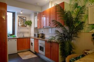 a kitchen with wooden cabinets and a plant in it at Apartamento moderno junto a la Gran Via in Madrid