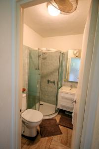 a bathroom with a shower and a toilet and a sink at Appartement devant la Marina (MQTI38) in Les Trois-Îlets