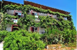 a building covered in ivy on the side of it at Chrissafis Hotel in Panagia