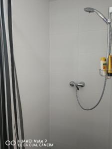 a shower with a shower head in a bathroom at 21a Comfortable Studio in Taufkirchen